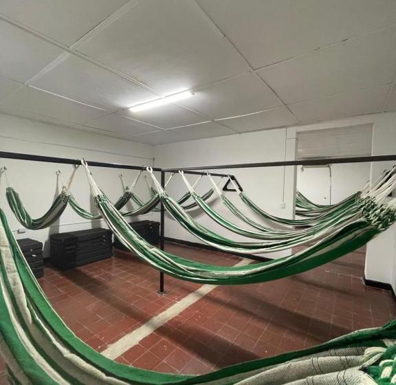 هاستل Hammocks Hamacas