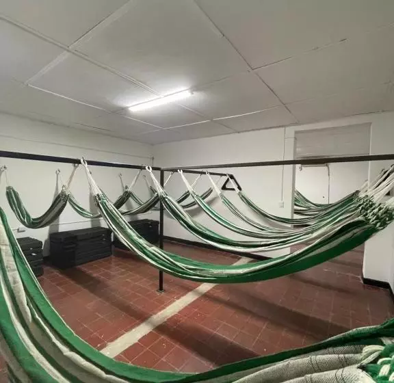هاستل Hammocks   Hamacas