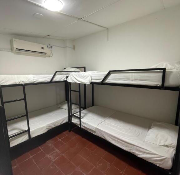 هاستل Hammocks Hamacas