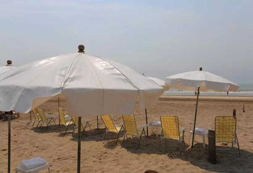 Carilo Soleil By Hs