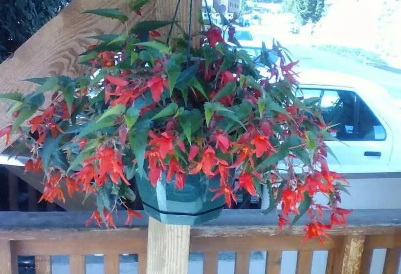 ホテル Hôtel Restaurant La Croix Jean Claude