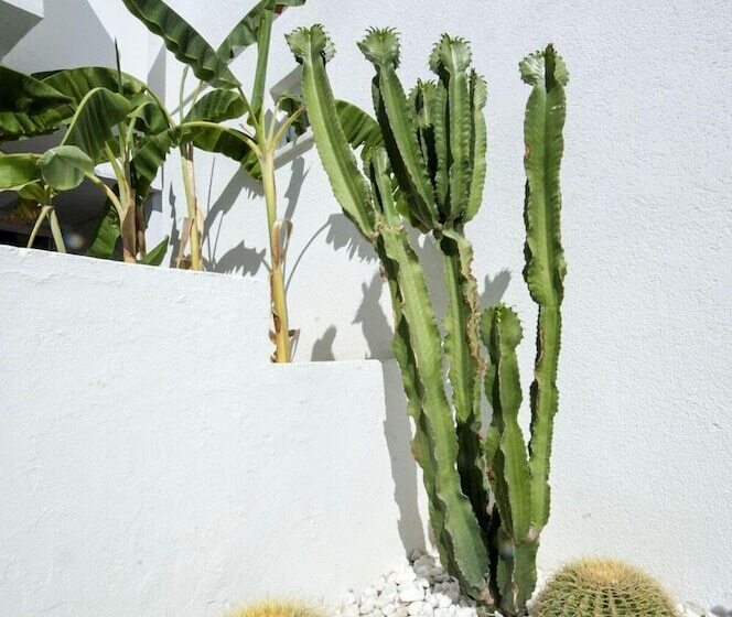 Hotel Smart City Suites Bodrum