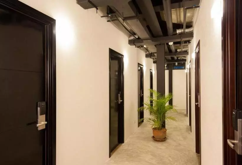 Indie Hostel   Koh Tao