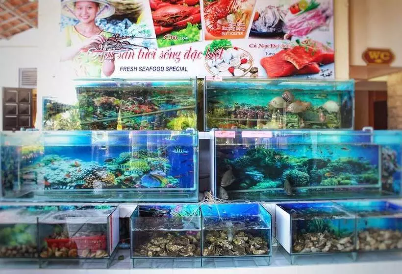 Thanh Tam Resort