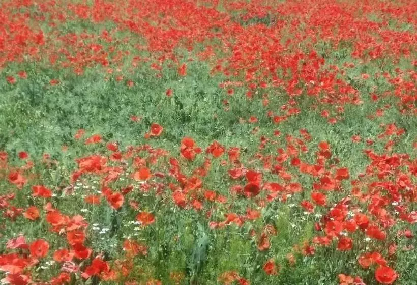 تختخواب و صبحانه La Casa Dels Ocells