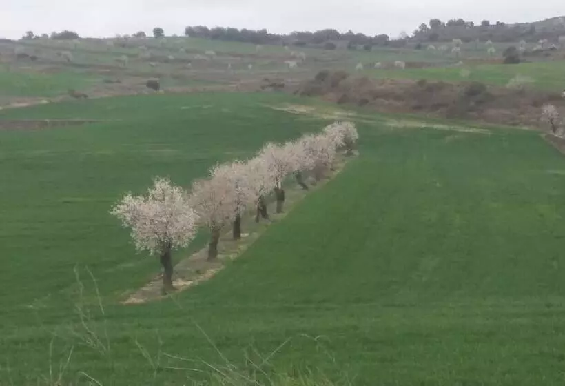 تختخواب و صبحانه La Casa Dels Ocells