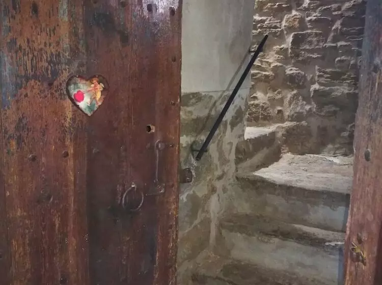 تختخواب و صبحانه La Casa Dels Ocells