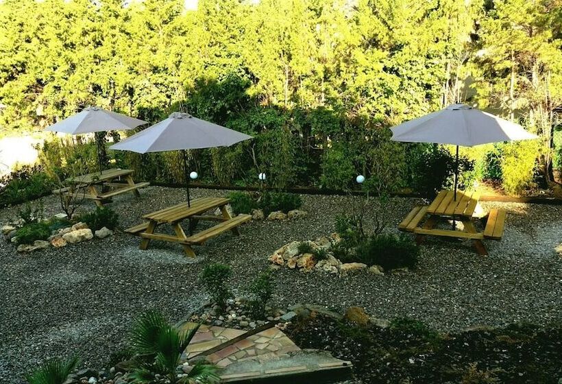 تختخواب و صبحانه Lamusana Adults Only