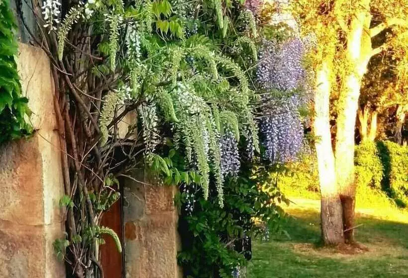 ベッドアンドブレックファースト Lamusana   Adults Only