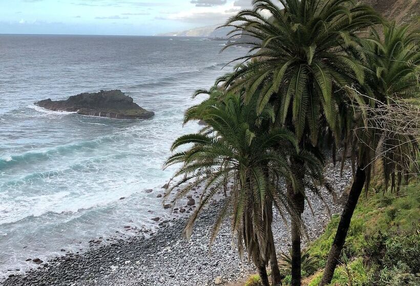 Canary Bio Hostel Tenerife