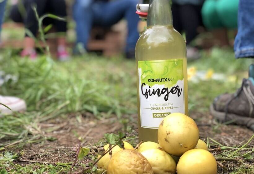 Canary Bio Hostel Tenerife