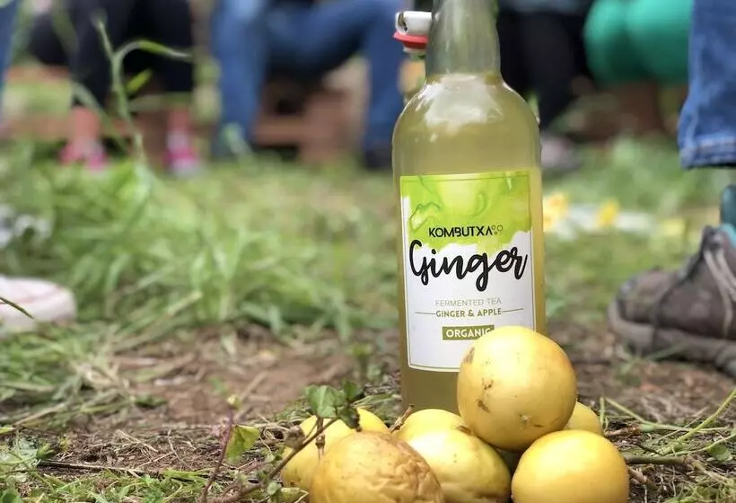 Canary Bio Hostel Tenerife