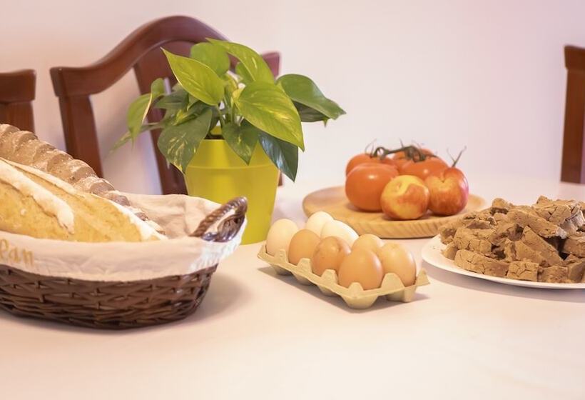 Canary Bio Hostel Tenerife