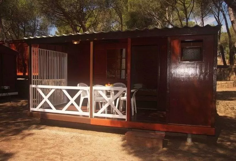 ホテル Camping Internacional Palamos