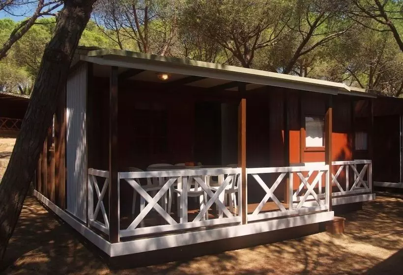 ホテル Camping Internacional Palamos