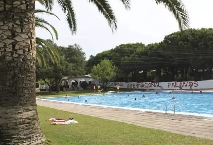 ホテル Camping Internacional Palamos