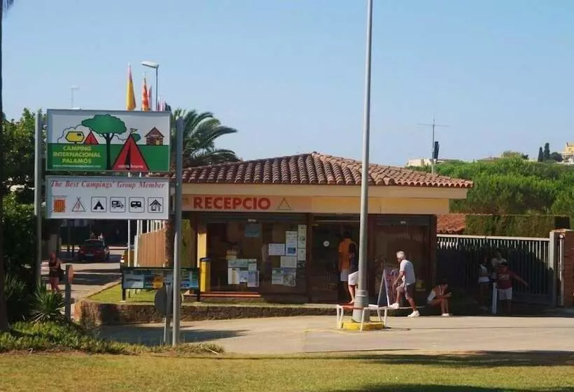 ホテル Camping Internacional Palamos