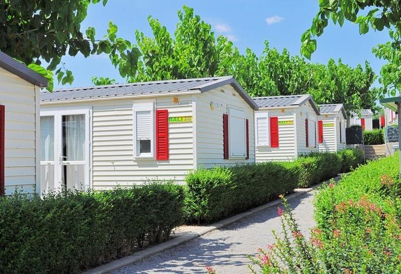 Camping Resort & Bungalow Park Mas Patoxas