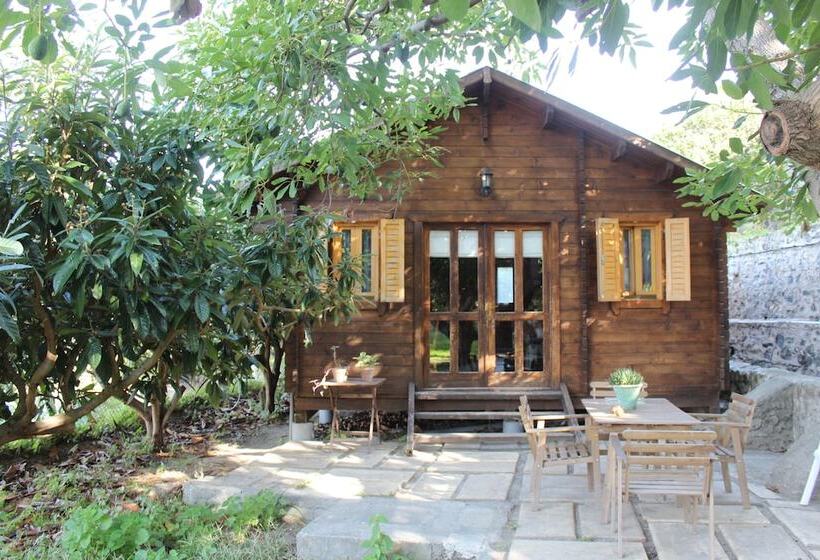 هتل Camping Tropical