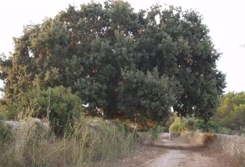 هتل روستایی Finca Son Josep De Baix