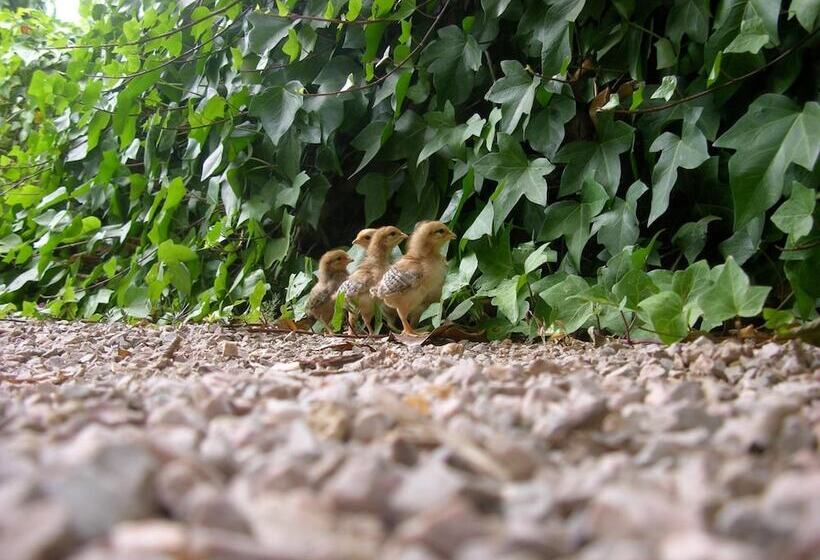هتل روستایی Finca Son Josep De Baix