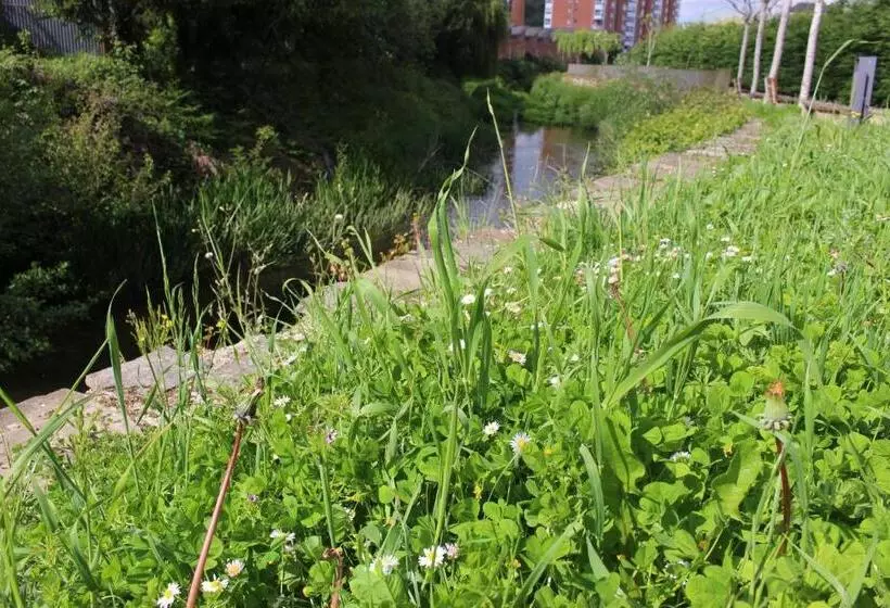 ユースホステル La Casona De Sarria