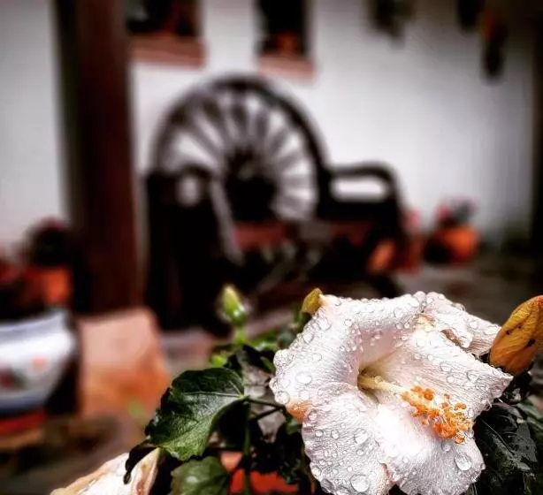 تختخواب و صبحانه Posada Marina