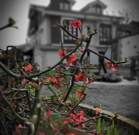 Bed and Breakfast Posada Marina