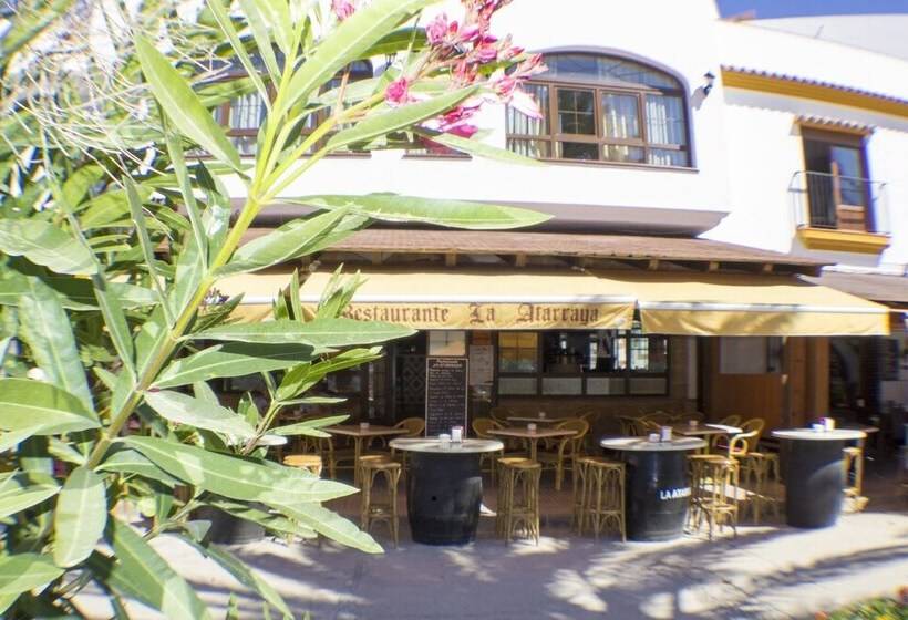 Estudios La Atarraya