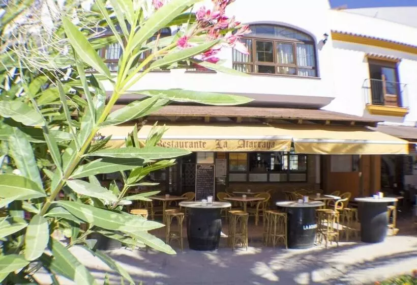 Estudios La Atarraya