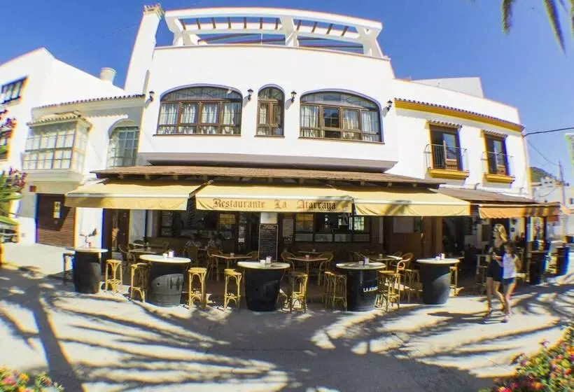 Estudios La Atarraya