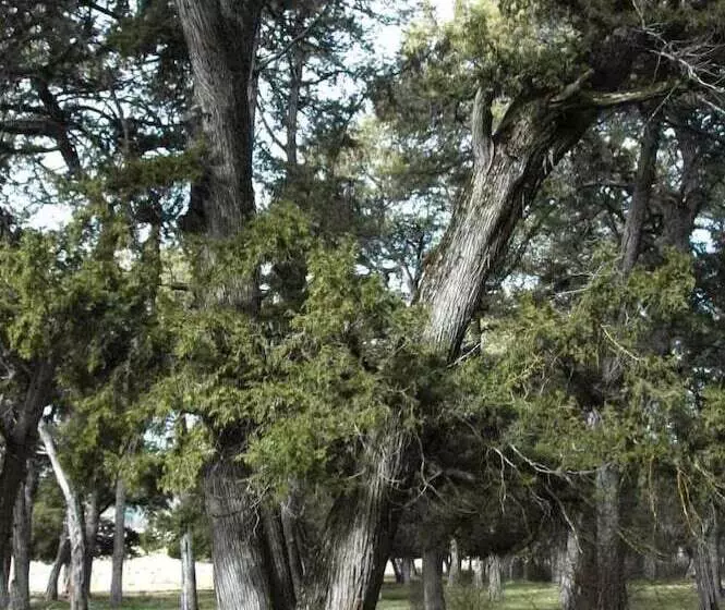 Hotelli C.t.r. Camino De La Fuentona