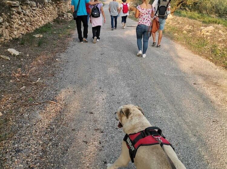 Сельский отель Rural Jordà