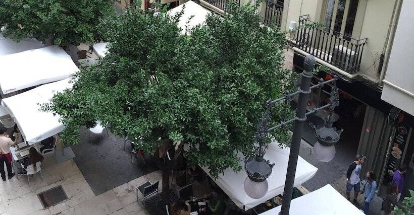 بنسيون Dusia's Home