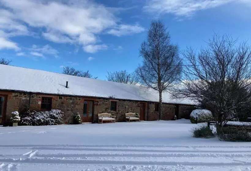 تختخواب و صبحانه The Courtyard