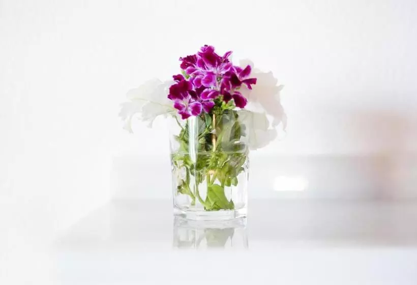 Hostal Alhambra  Adults Only