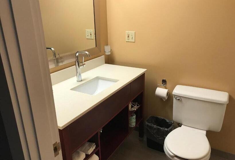 فندق Inn At Portland