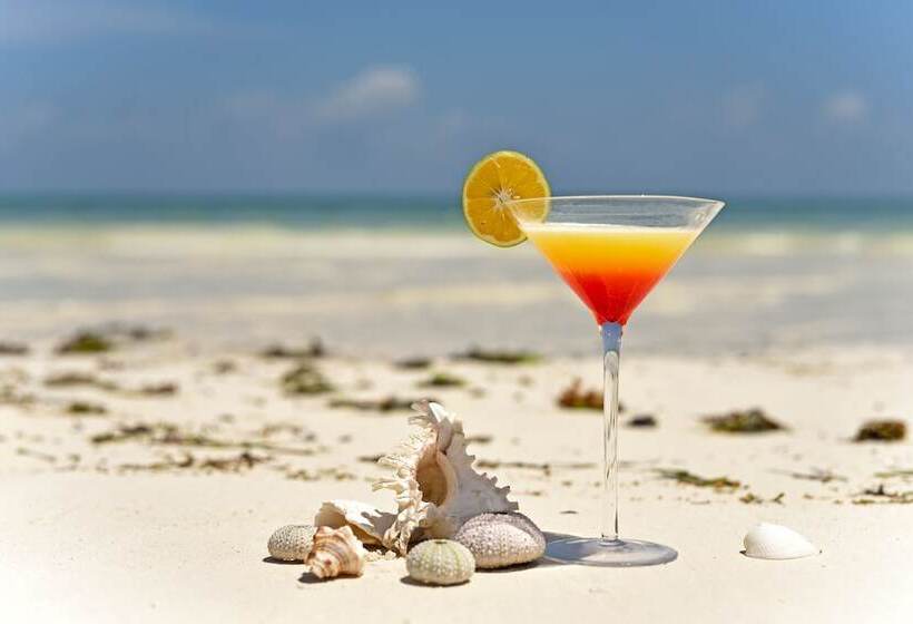 בית מלון כפרי Shooting Star Boutique