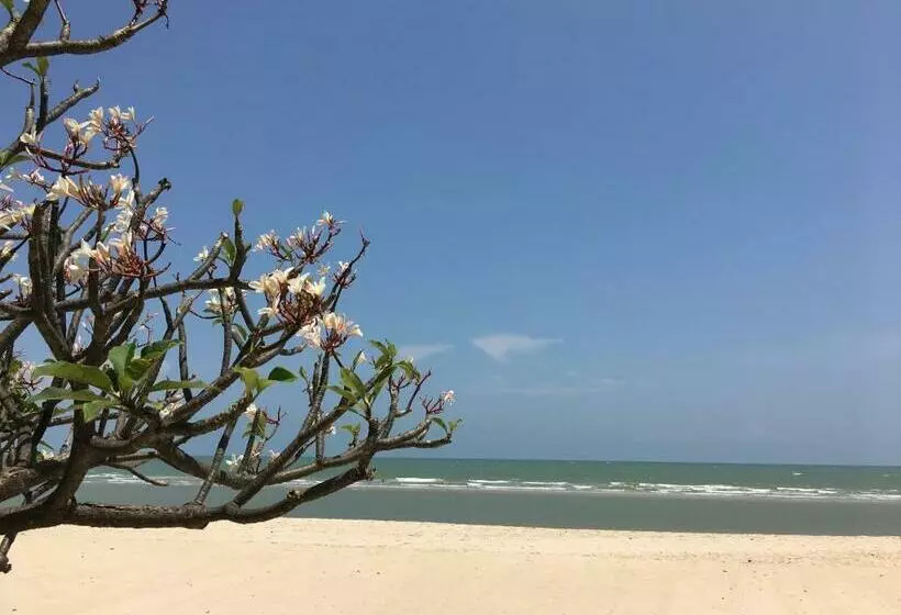 Cha Am Beach Club
