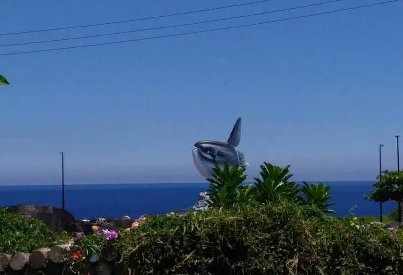 تختخواب و صبحانه Hualien Oceanbreeze Homestay