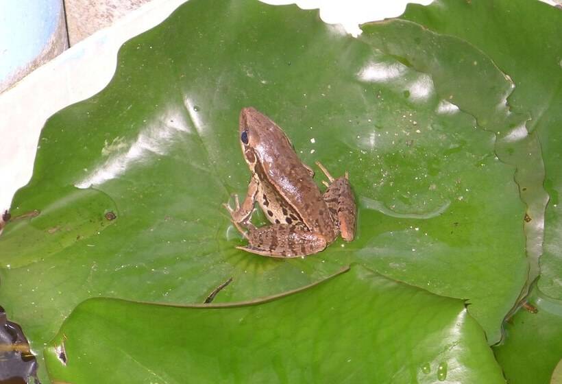 تختخواب و صبحانه Hualien Oceanbreeze Homestay