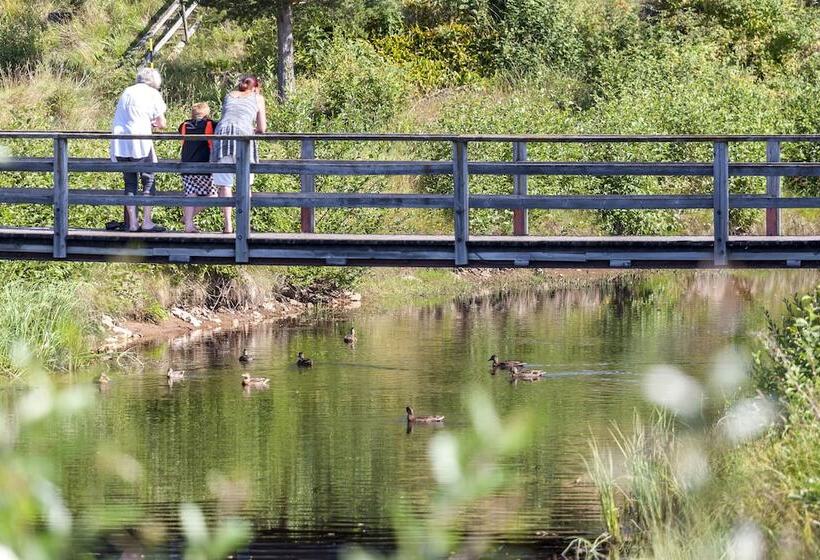 فندق First Camp Enåbadet   Rättvik