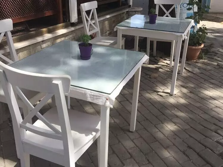 ホテル Iyon Pansiyon