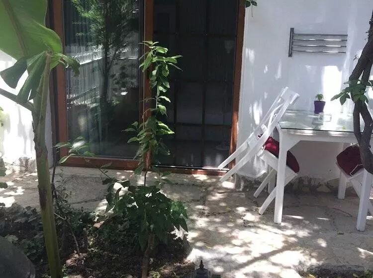 ホテル Iyon Pansiyon