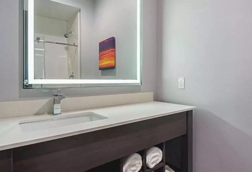 Hotelli La Quinta By Wyndham Dallas   Wylie