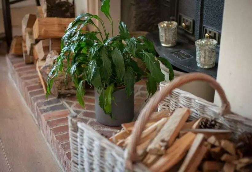 Bed and Breakfast Strete Barton House