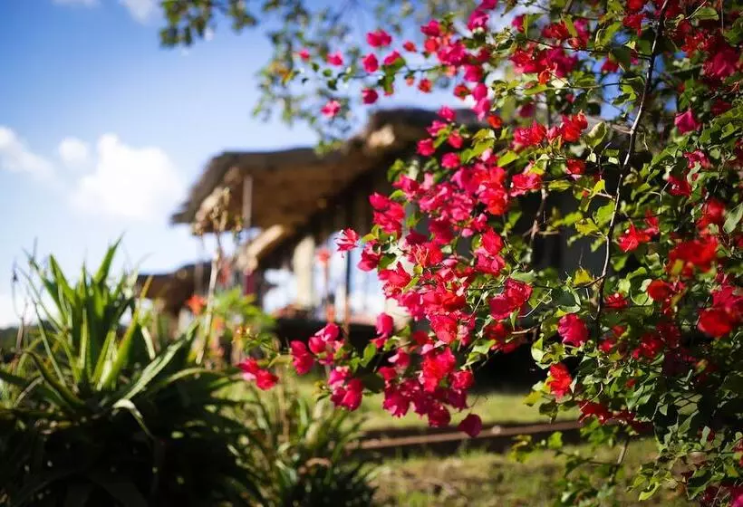 ホテル Karatu Simba Lodge