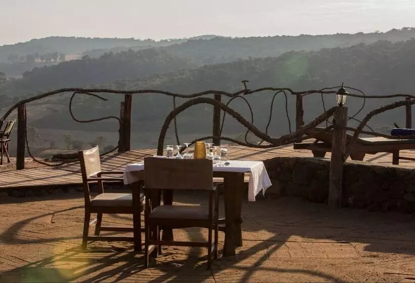 ホテル Karatu Simba Lodge