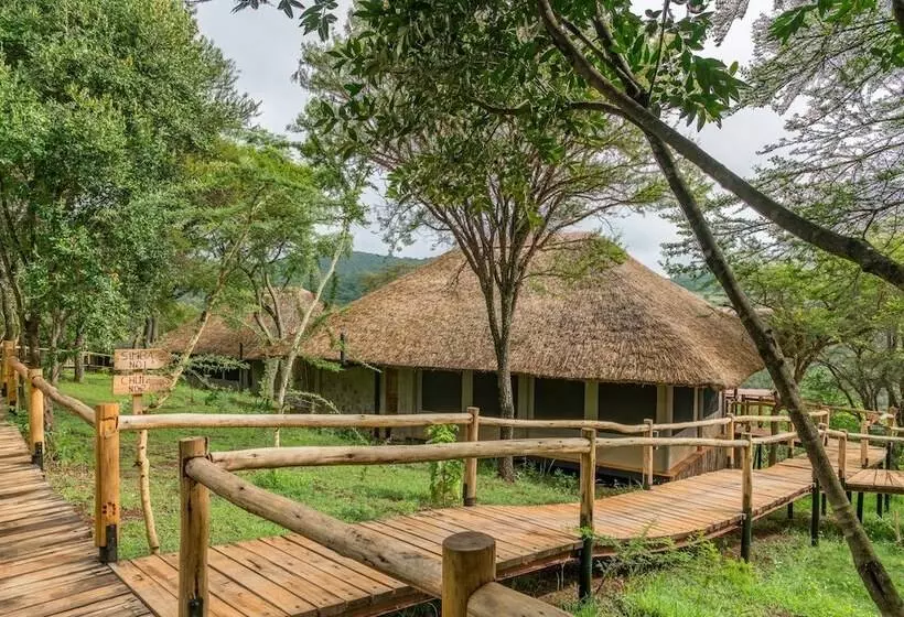 هتل Ngorongoro Forest Tented Lodge