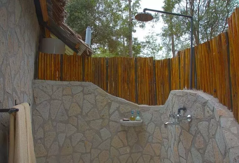 هتل Ngorongoro Forest Tented Lodge